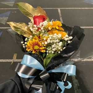 Meet your Posher, Karianne